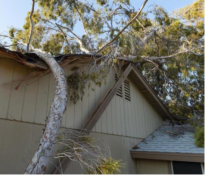 large downed tree laying on top of light brown house