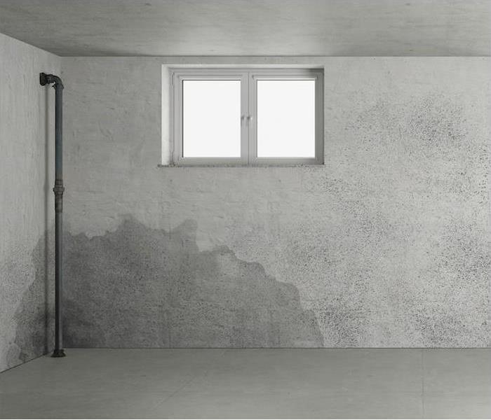 a grey basement showing signs of water damage