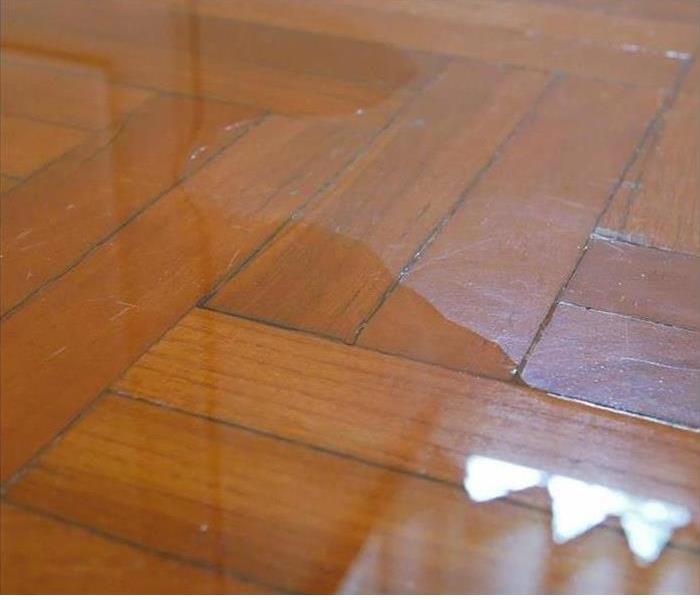 water on Wood Floor