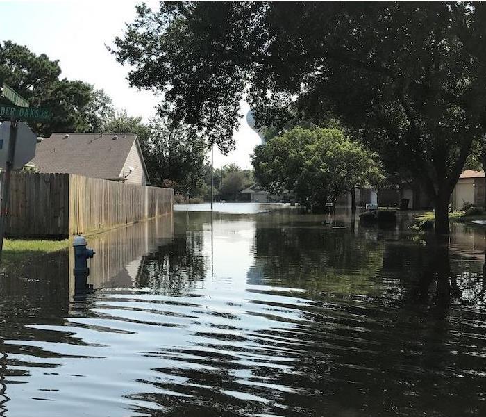 Flooded Neighborhood Street